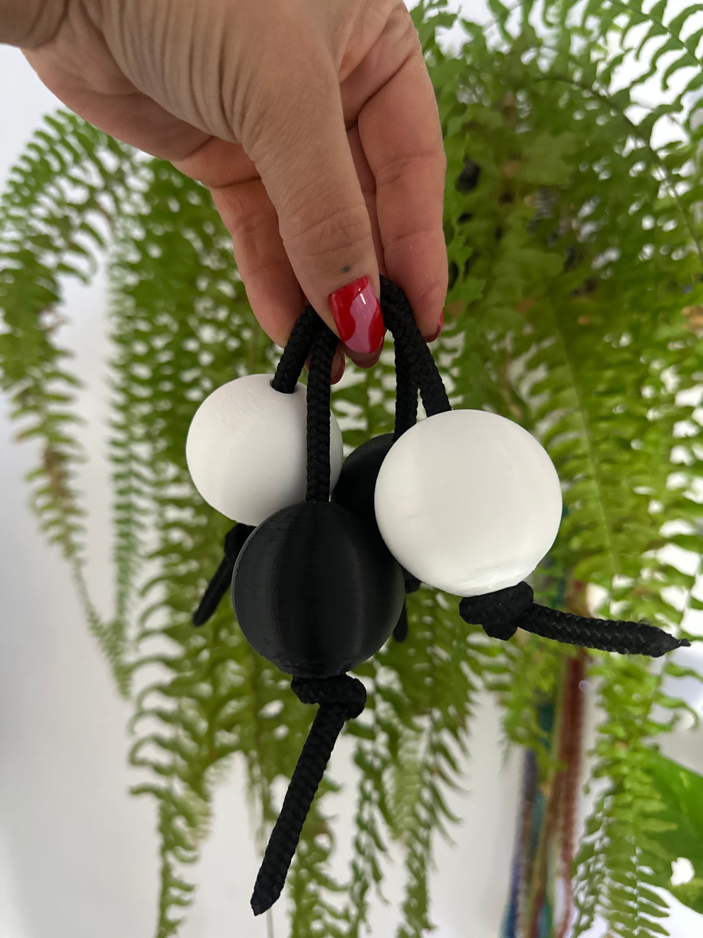 Asalato Preto Velho - Cacimba Asalatos