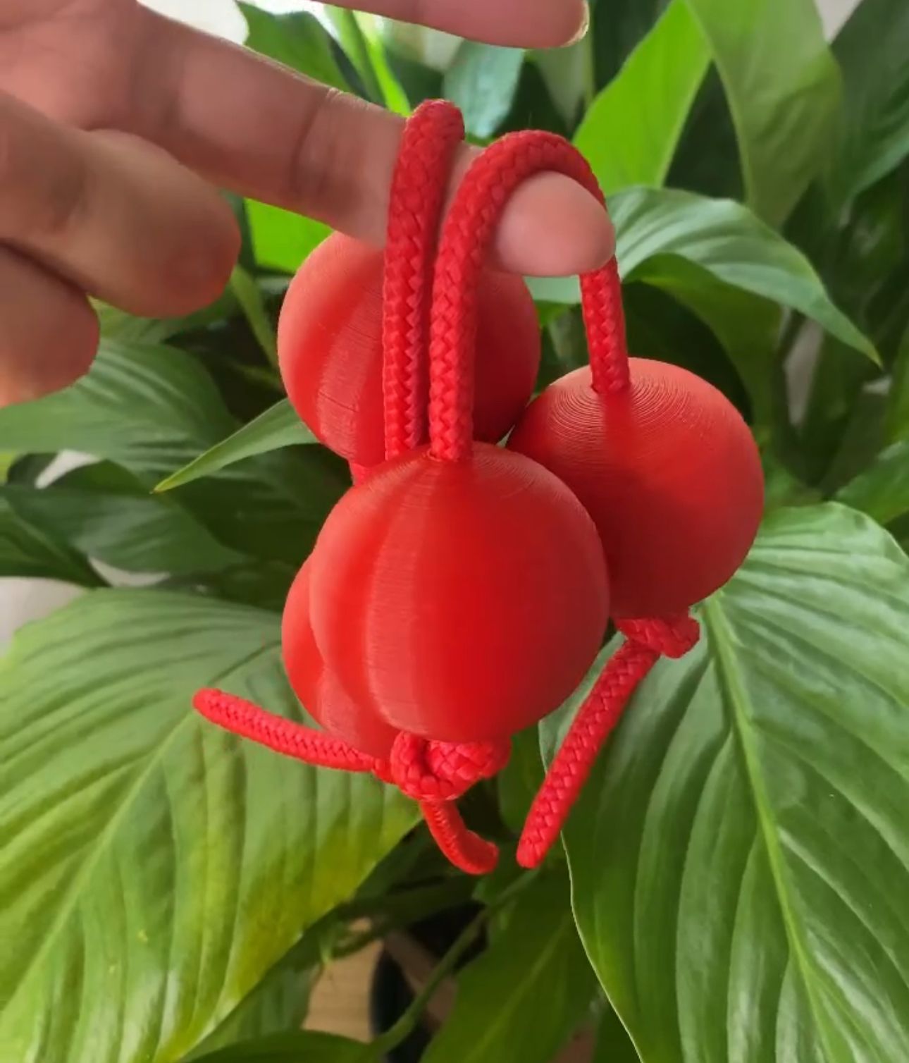 Asalato Cerejinha (Oyá) - Cacimba Asalatos