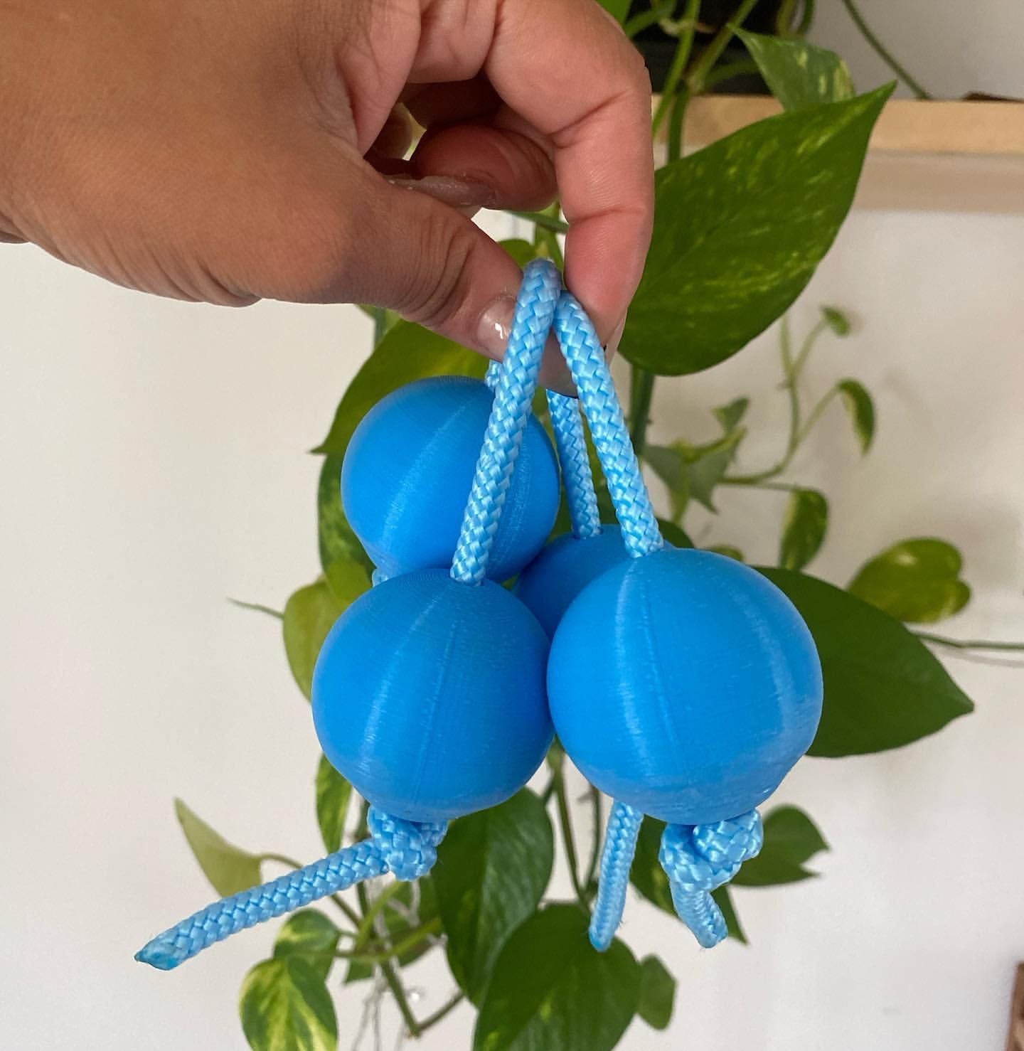 Asalato Janaína - Cacimba Asalatos